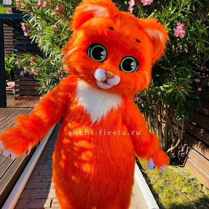 Аниматор Котик в Тюмени