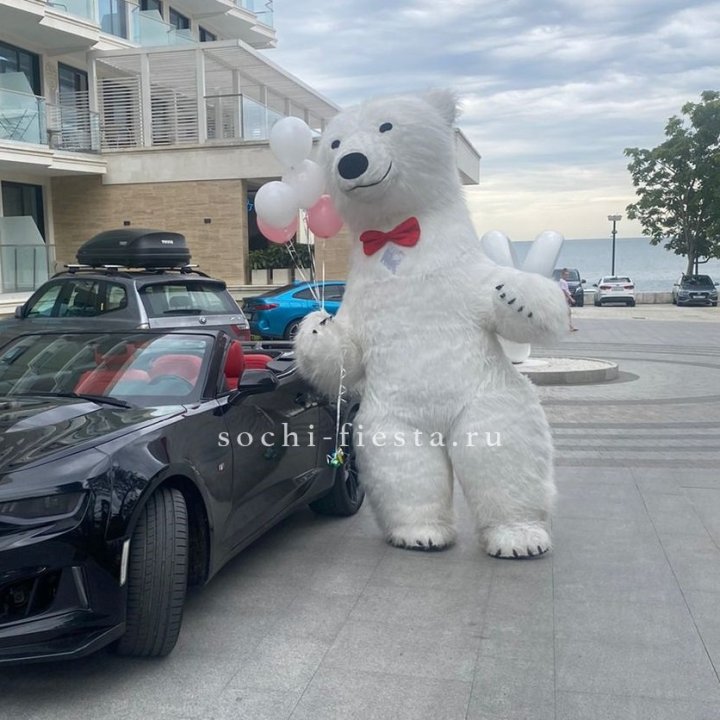 Аниматор Белый Медведь в Тюмени