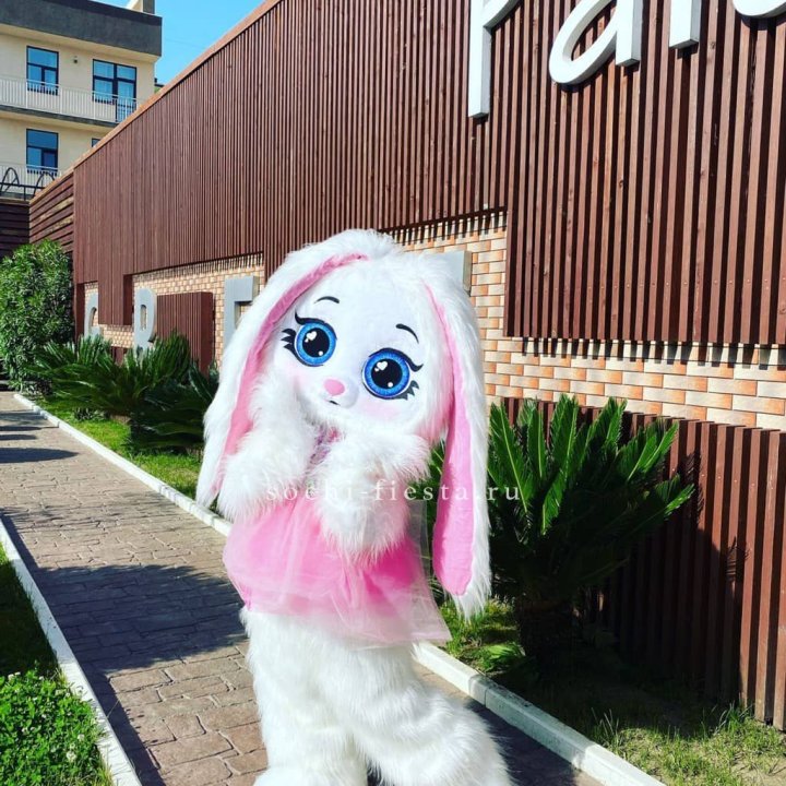 Аниматор Зайка в Тюмени