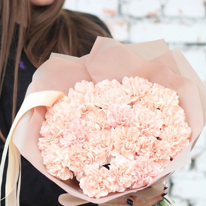 Диантусы №2 в Тюмени