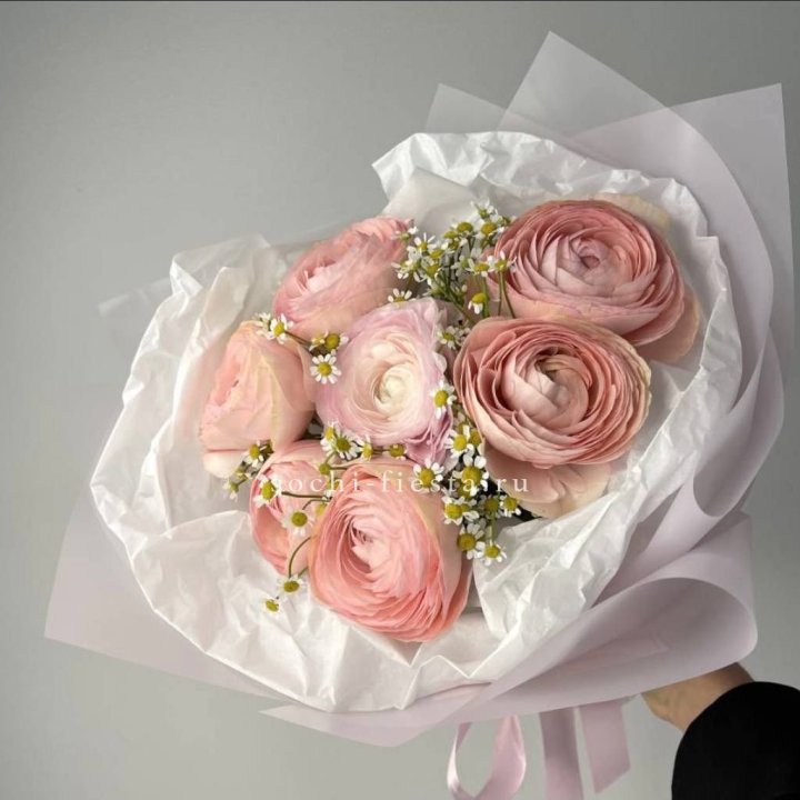 Ранункулюсы с ромашками в Тюмени