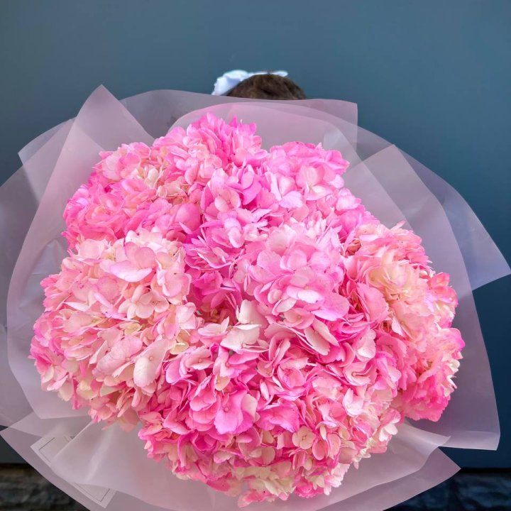 9 ярко розовых гортензий в Тюмени