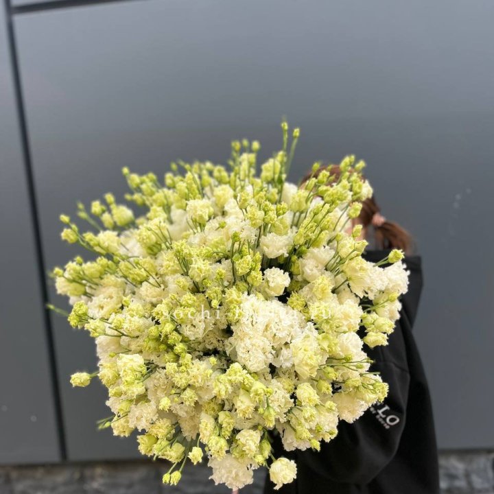 51 белая эустома в Тюмени