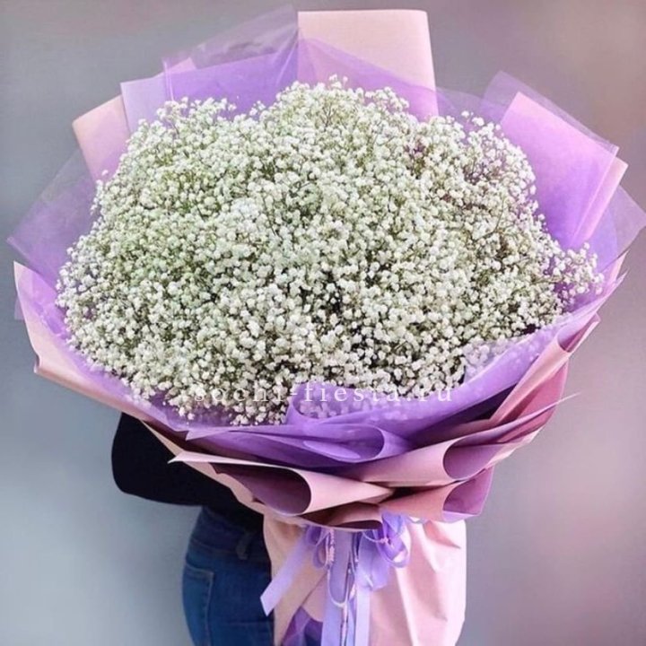 Облако белых гипсофил в Тюмени