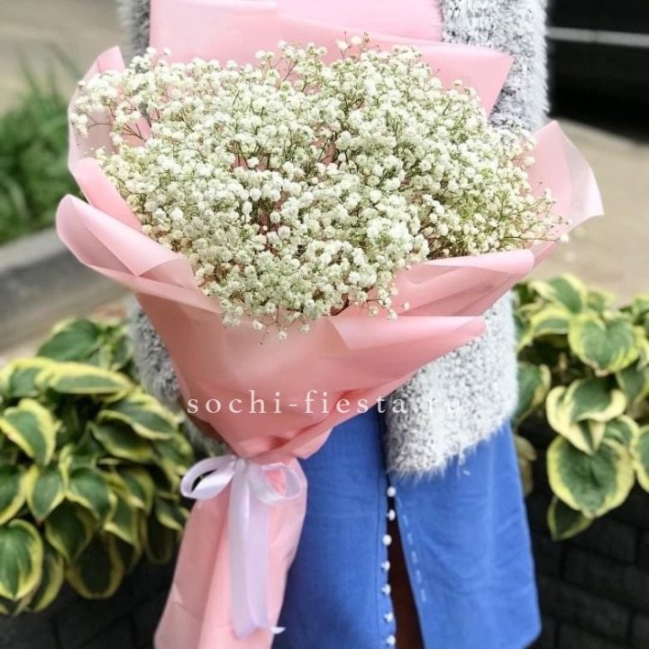 Белоснежные гипсофилы в Тюмени