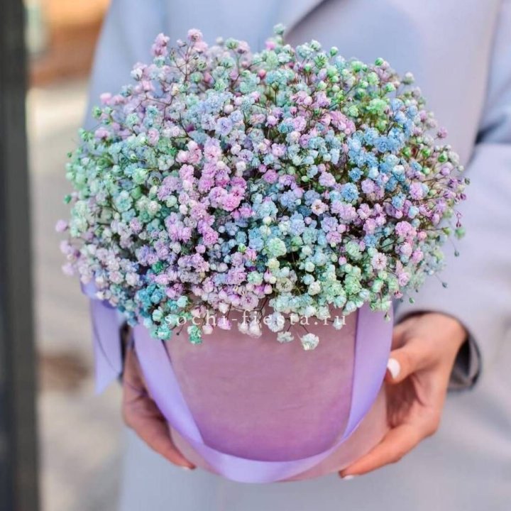 Гипсофилы в шляпной коробке "Кандилайт" в Тюмени