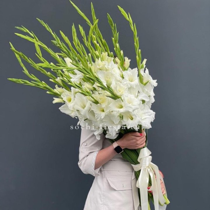 19 белых гладиолусов под ленту в Тюмени