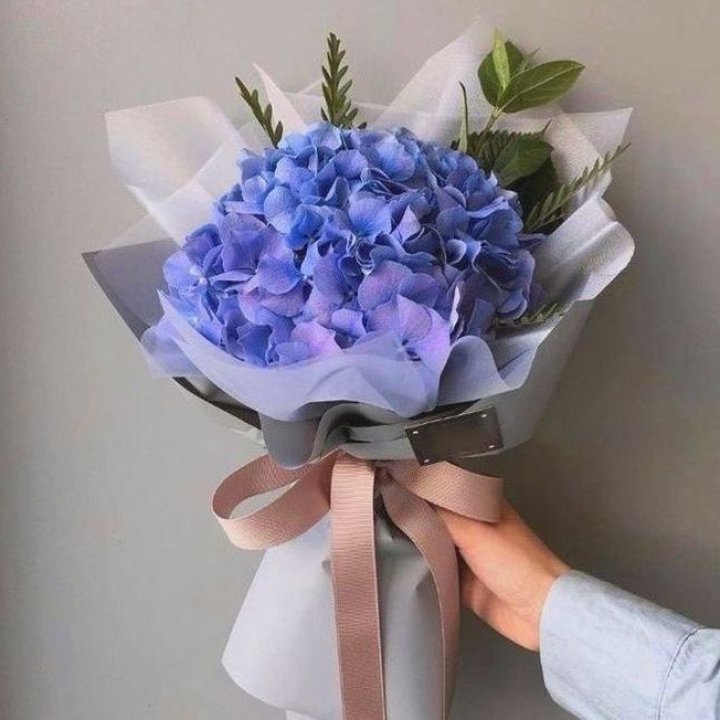 Гортензия голубая в Тюмени