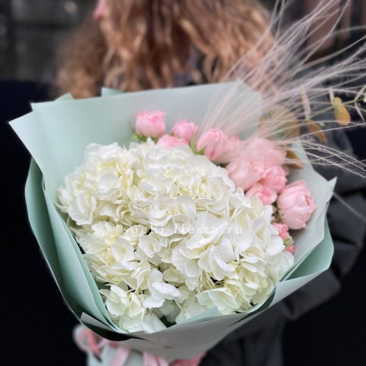 Гортензия "Жасмин" в Тюмени