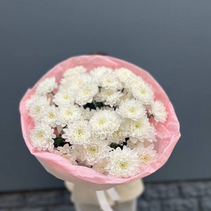  5 хризантем  в Тюмени