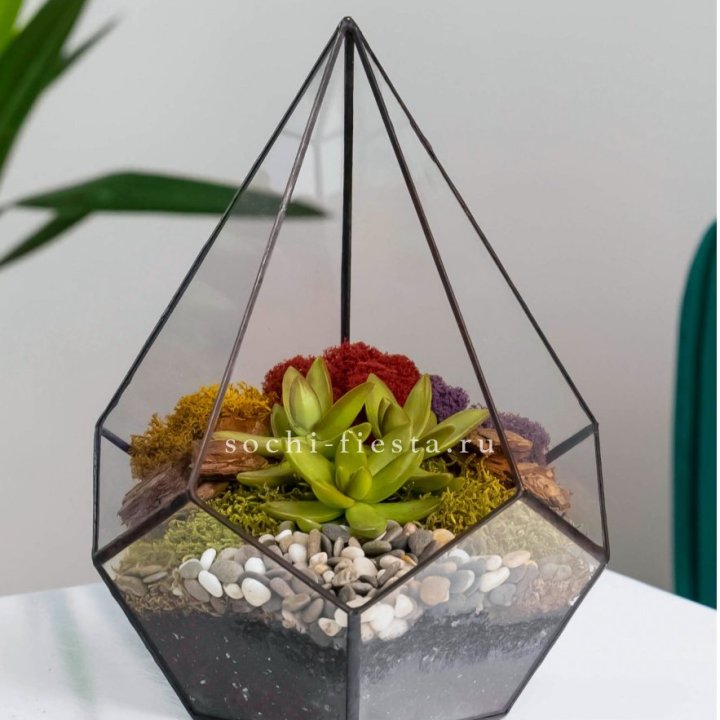 Флорариум Капля с суккулентом в Тюмени