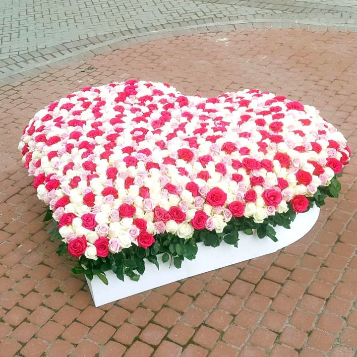 555 роза  в Тюмени