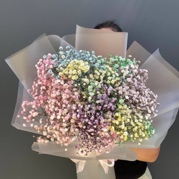 Радужные гипсофилы  в Тюмени