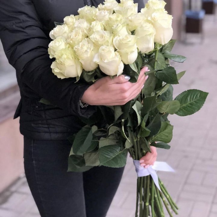 Голландские розы белые в Тюмени