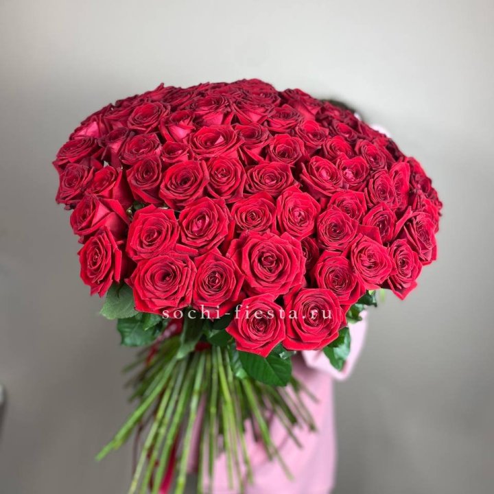 101  голландская роза  в Тюмени