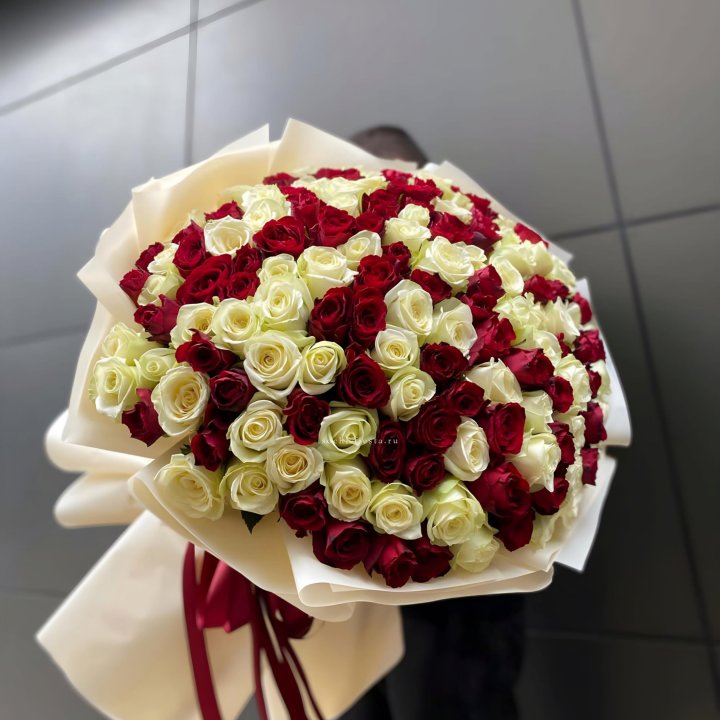 101 высокая импортная роза  в Тюмени