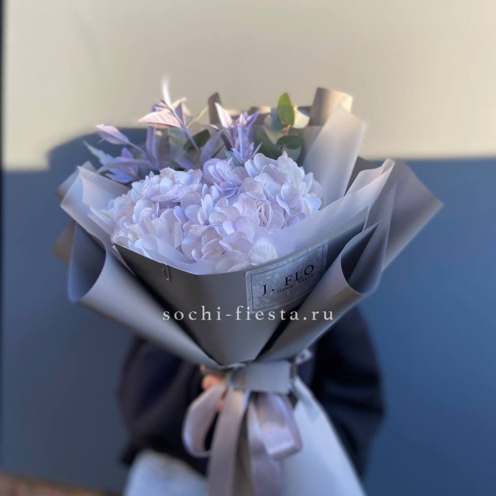 Гортензия "Виолета" в Тюмени
