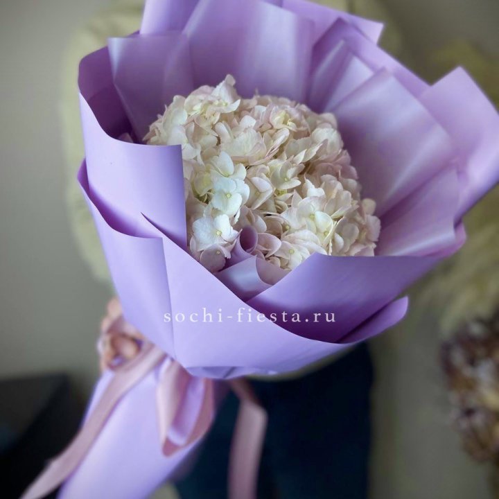 Гортензия розовая в Тюмени