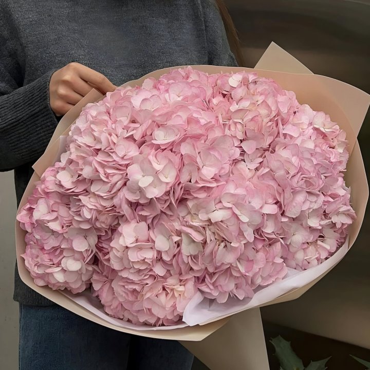 Гортензия  "РОЗЕ" в Тюмени