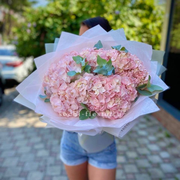 5 розовых гортензий  в Тюмени
