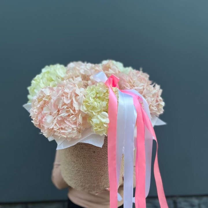 7 гортензий в кашпо в Тюмени