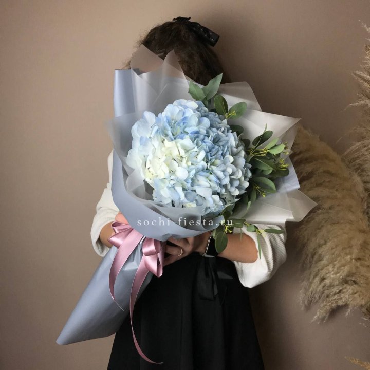 Гортензия Уно в Тюмени