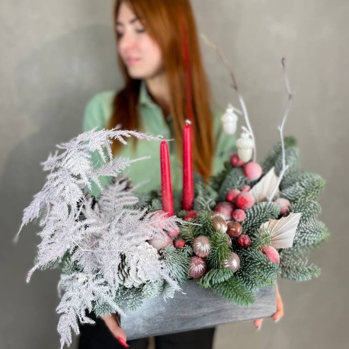 Бокс красный с нобилисом в Тюмени