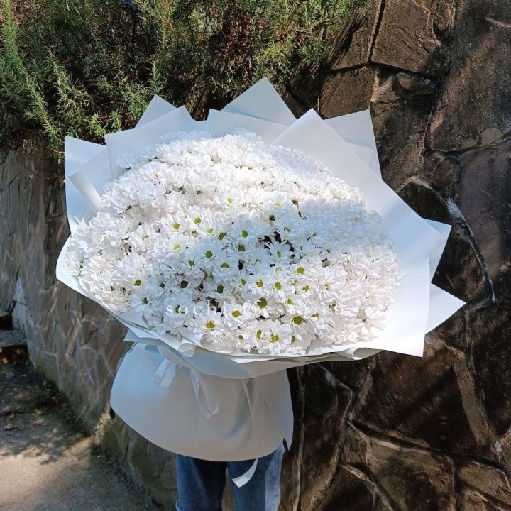 Облако хризантем №2 в Тюмени