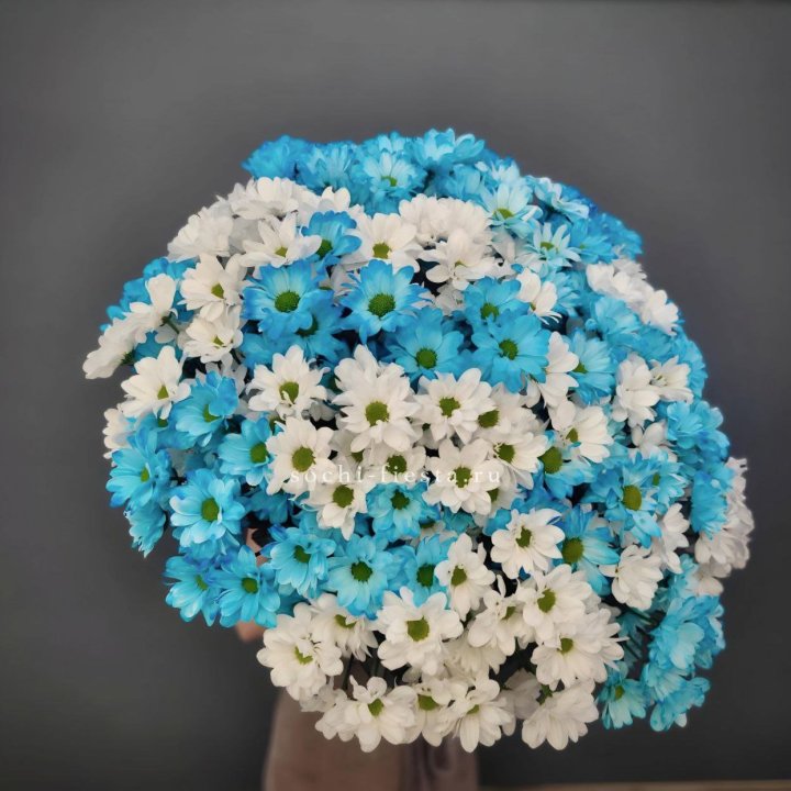  Букет хризантем микс в Тюмени