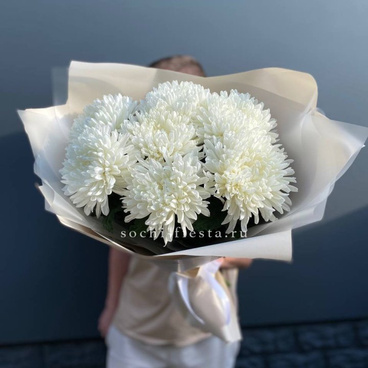 Профитроли в Тюмени