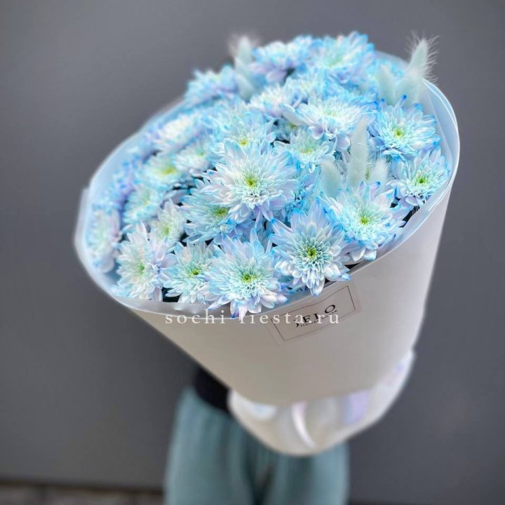  Букет нежно-голубых хризантем  в Тюмени