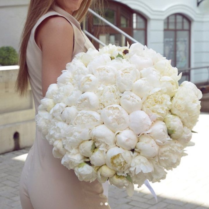 51 белый пион в Тюмени