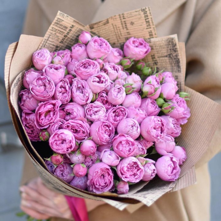 Роза Мисти Баблс в Тюмени