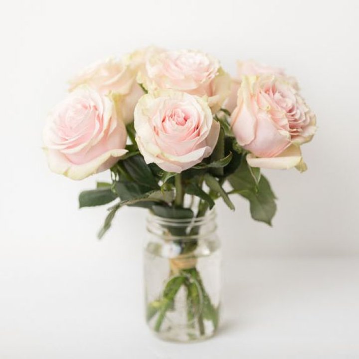 7 кремовых роз в Тюмени