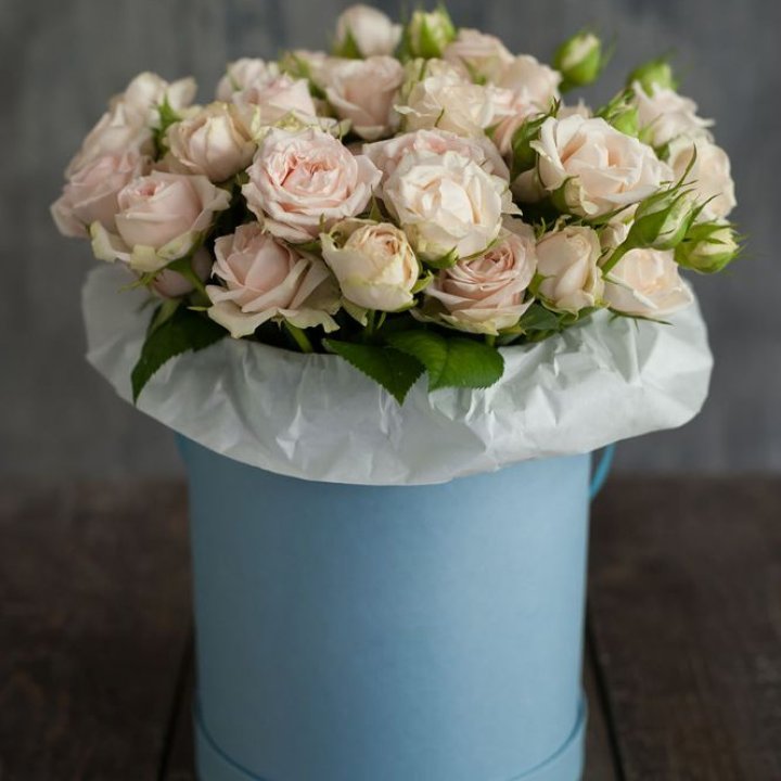 Бокс с бомбастиком в Тюмени