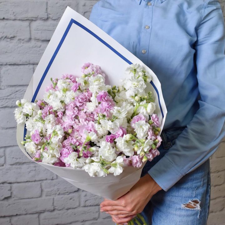 Маттиола в Тюмени