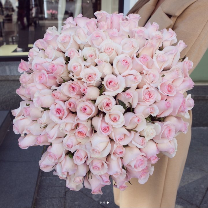 Розы "Пинк бум" в Тюмени