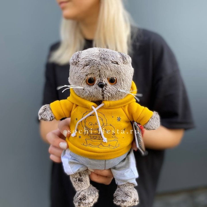 Кот Басик в худи в Тюмени