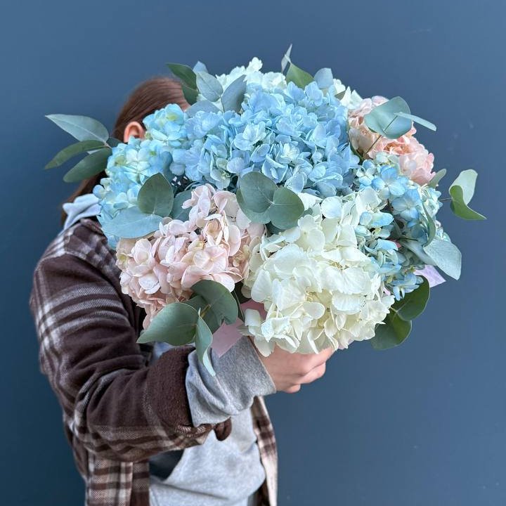 Гортензии в коробочке в Тюмени