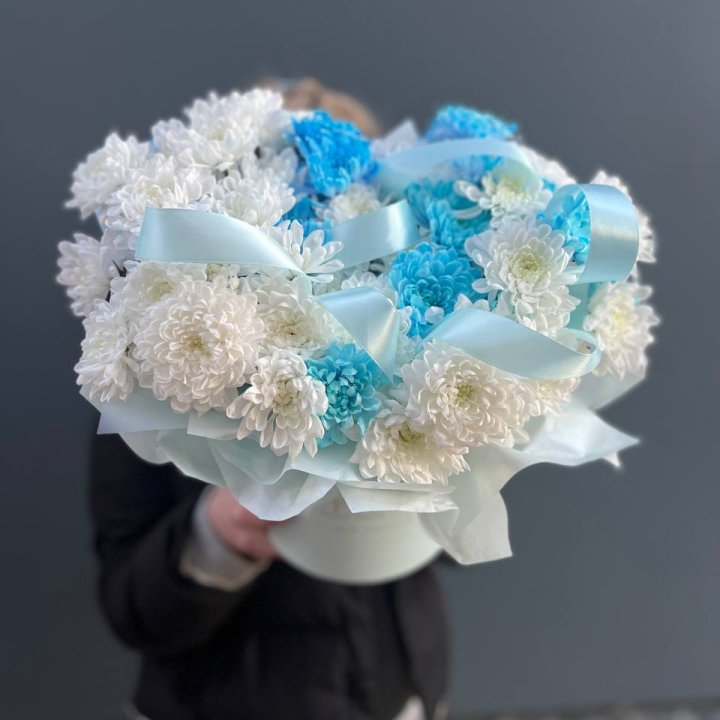 Хризнтемы в боксе в Тюмени