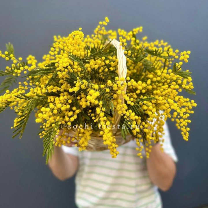 Весенняя корзина мимозы в Тюмени