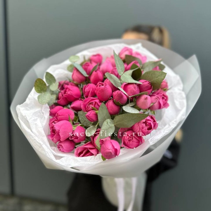 17 Мисти бабблс в Тюмени