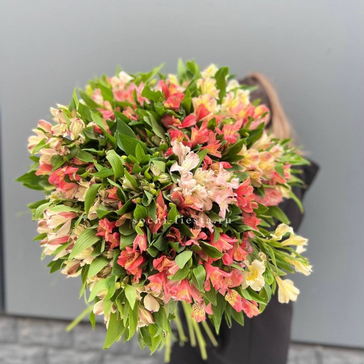 51 альстромерия в Тюмени