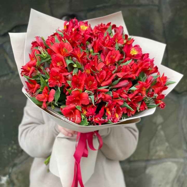 51 альстромерия в Тюмени