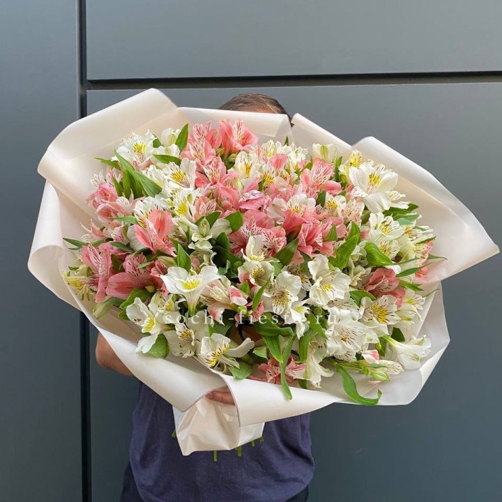 39 альстромерий в Тюмени