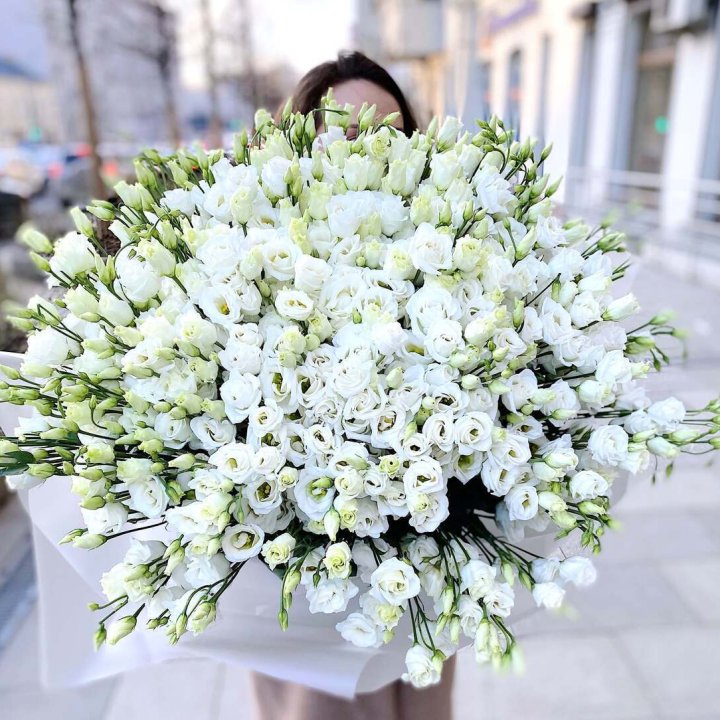 101 белая эустома в Тюмени