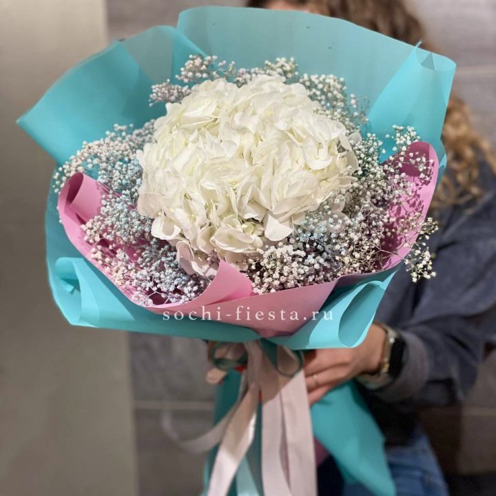 Гортензия "Райдов" в Тюмени