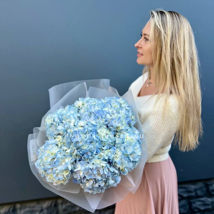 7 голубых гортензий в Тюмени