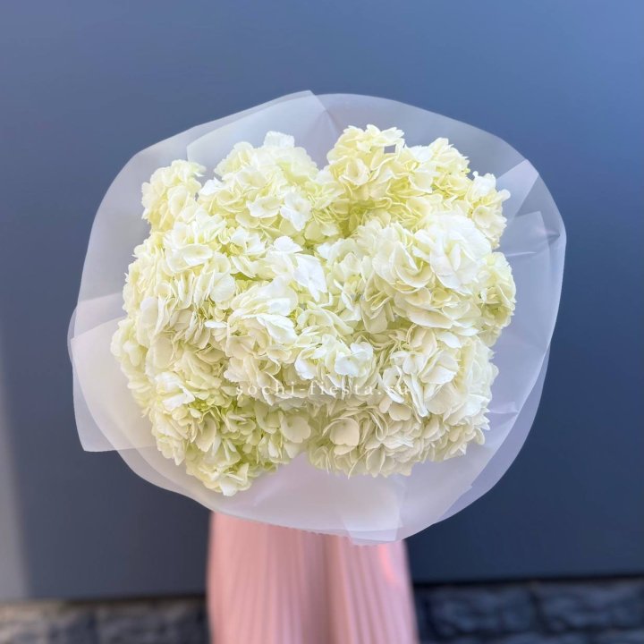 7 белых гортензий в Тюмени