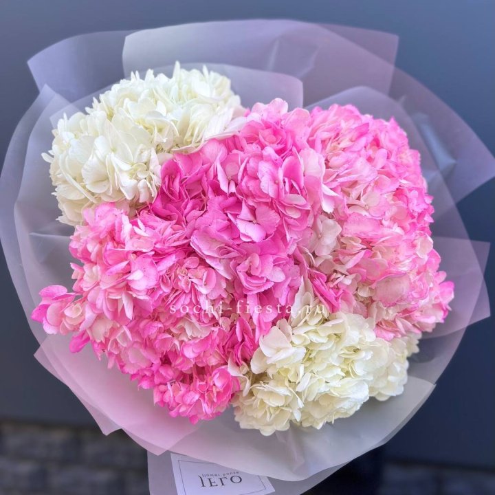 5 бело-розовых гортензий в Тюмени